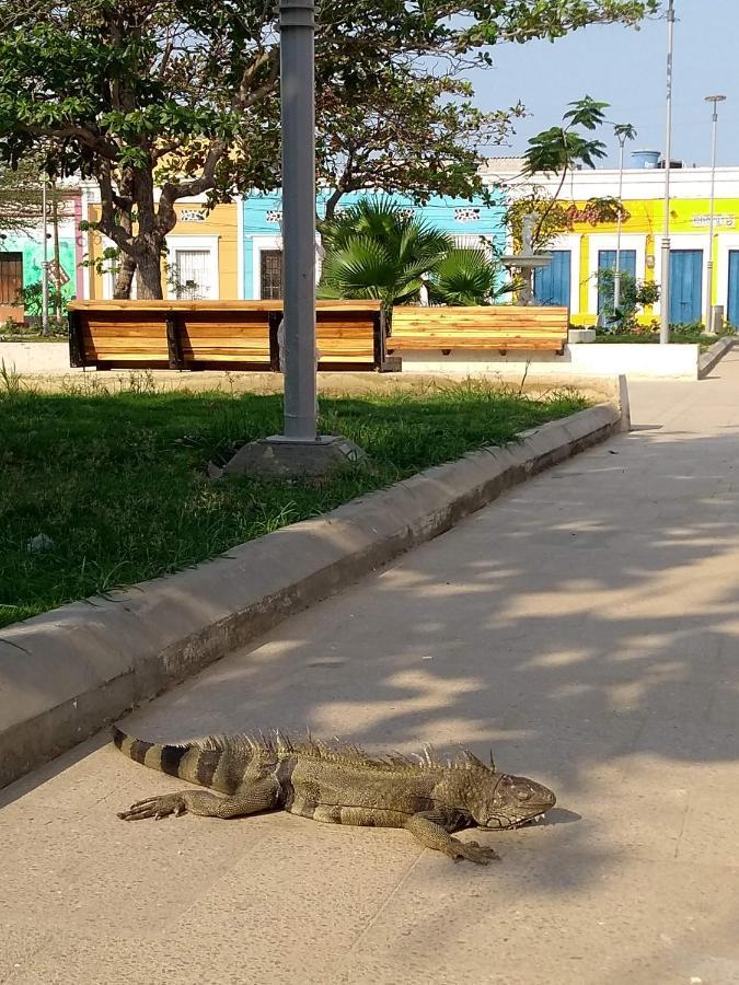 El Habitante Casa Cultural & Hostal Ciénaga Buitenkant foto